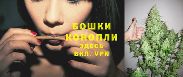 дурь Белокуриха
