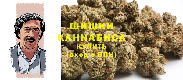 шишки Богородск