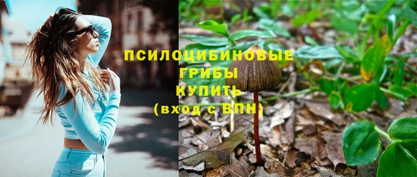 дурь Белокуриха