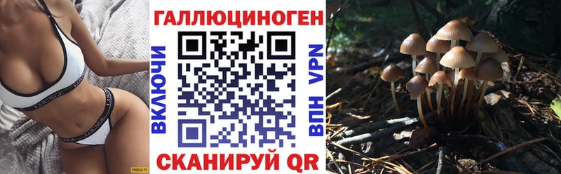 Псилоцибиновые грибы мухоморы Казань